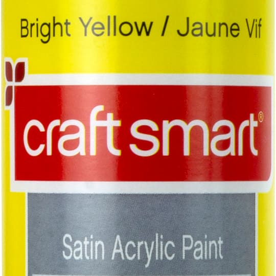 Satin Acrylic Paint by Craft Smart®, 8oz.